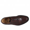 Men's laced Oxford shoe in brown leather with captoe - Available sizes:  46, 50